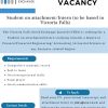 VFEX | Job vacancy